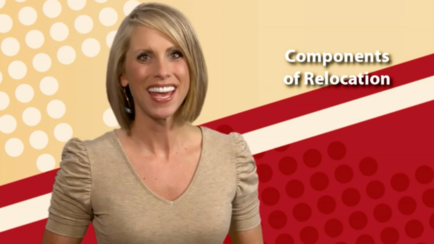 Components Of Candidate Relocation